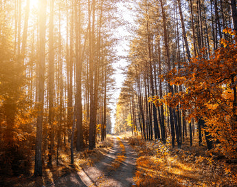 We’re legally obligated