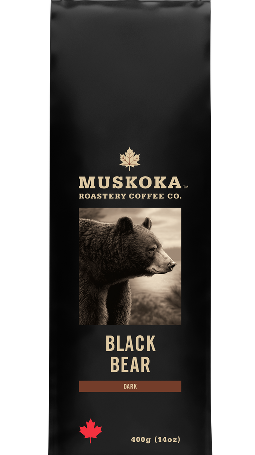 Black Bear