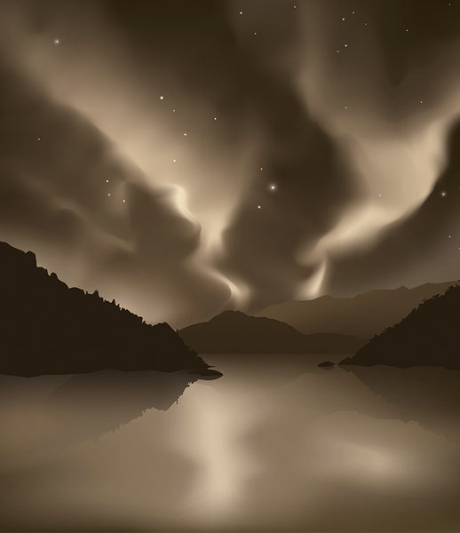 Northern Lights Wholesale Muskoka Roastery Coffee Co.