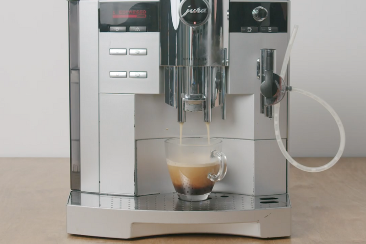 What to Brew - Bean to Cup