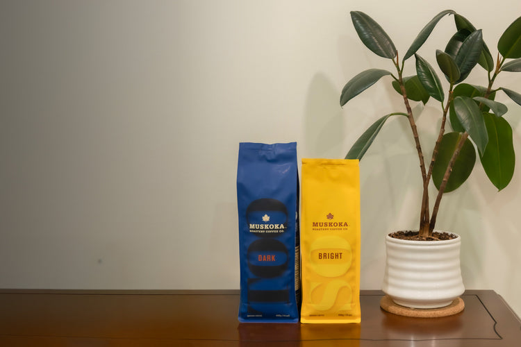 Introducing Our Brand New Zero Waste Coffee Bags