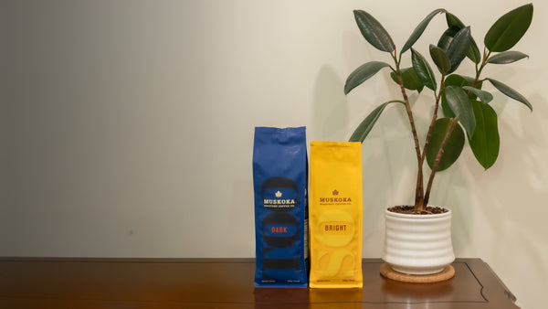 Introducing Our Brand New Zero Waste Coffee Bags