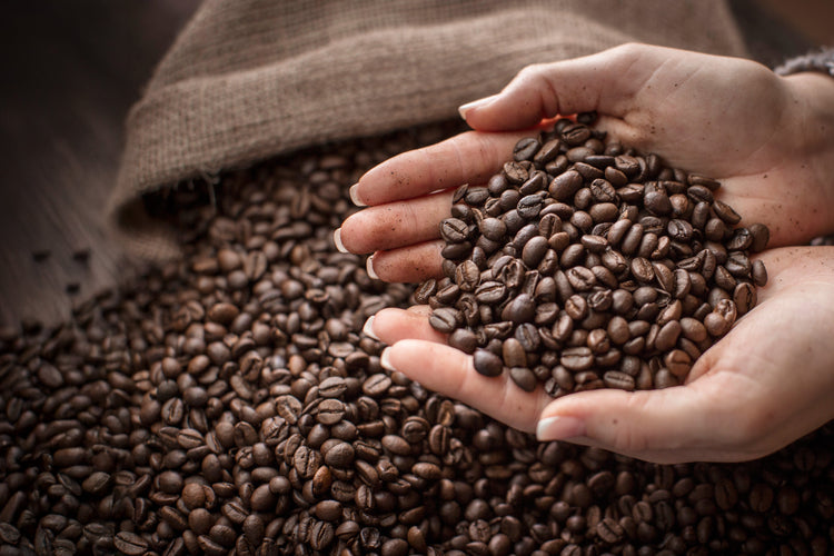 A Rare Distinction in Canadian Coffee