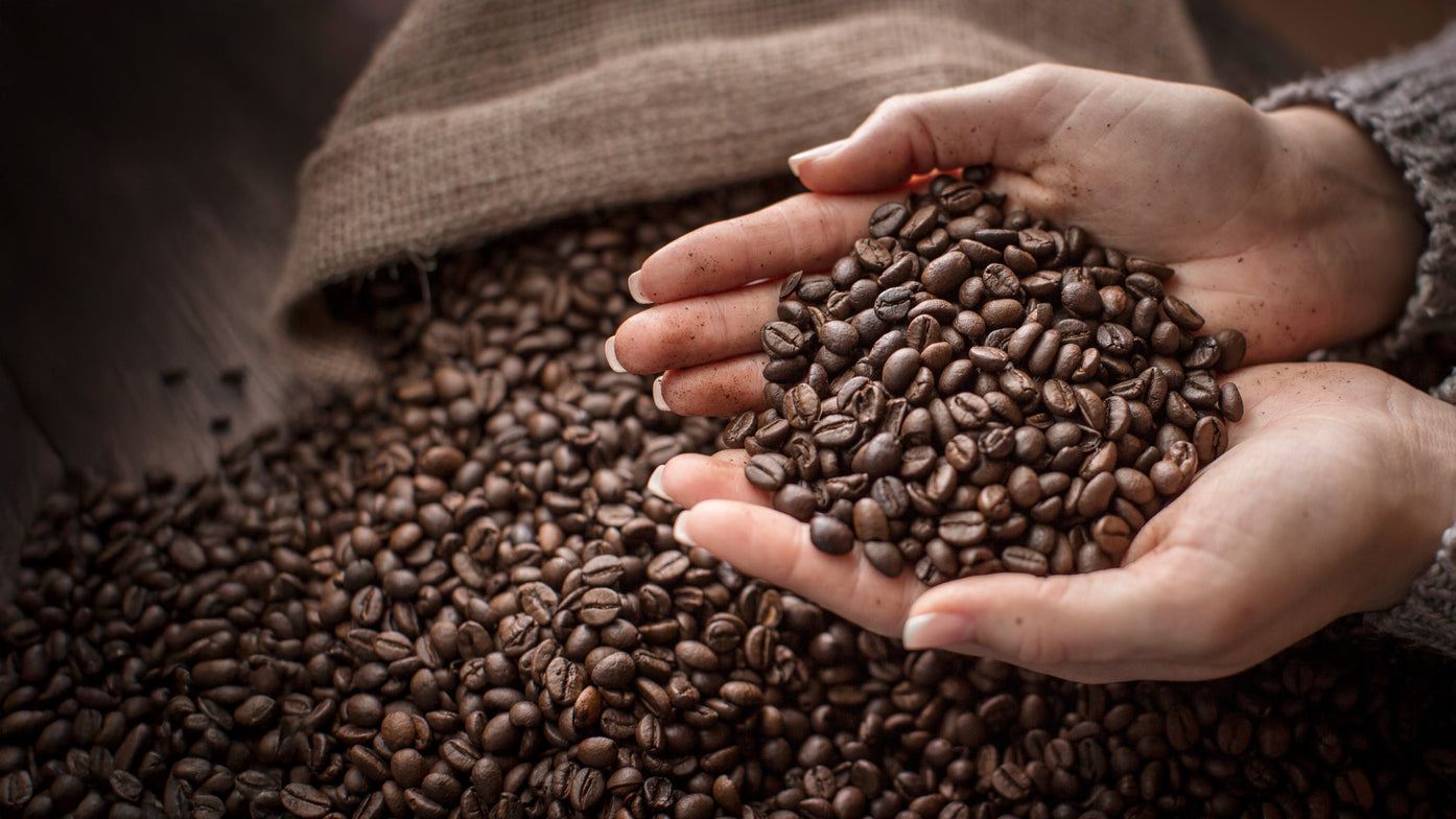 A Rare Distinction in Canadian Coffee