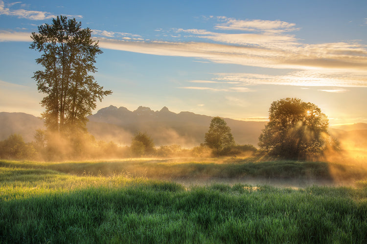 A win for Ecojustice - and the world