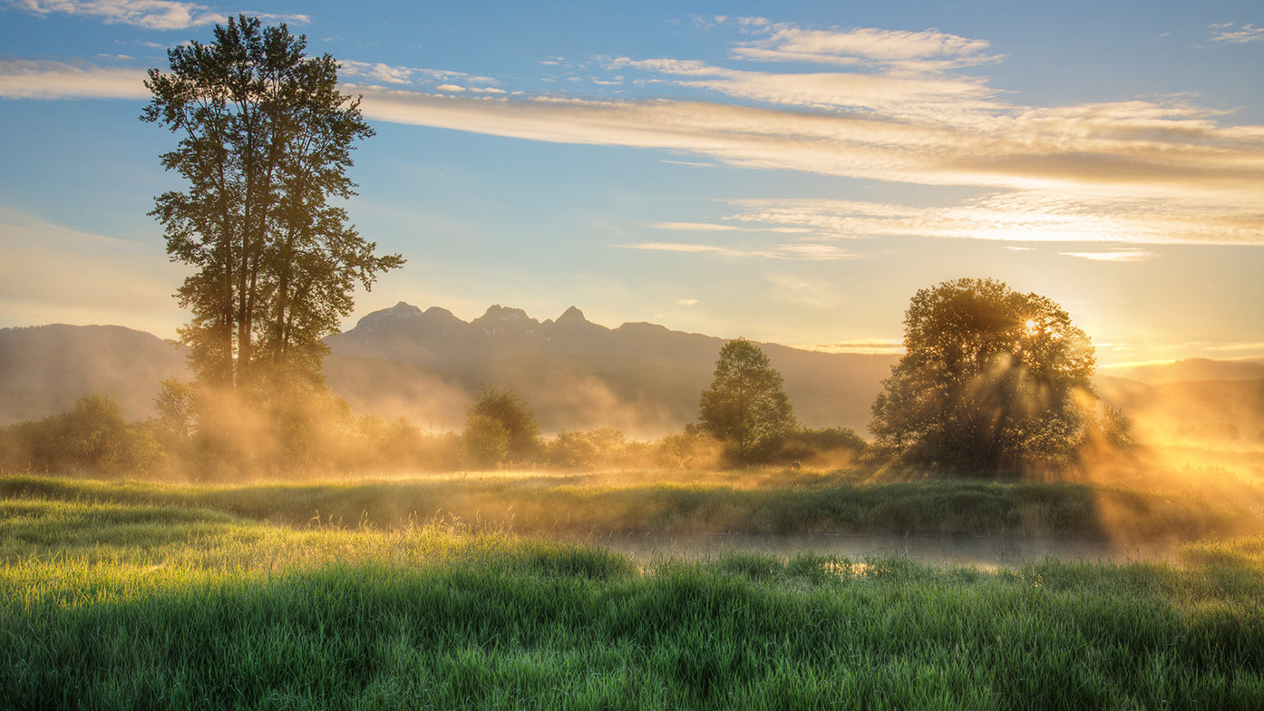 A win for Ecojustice - and the world