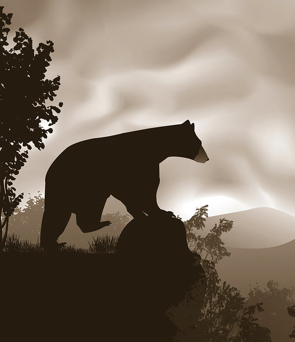 Ours Noir