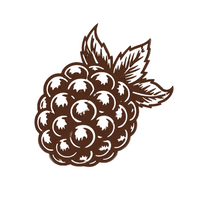 Blackberry