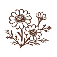Chamomile